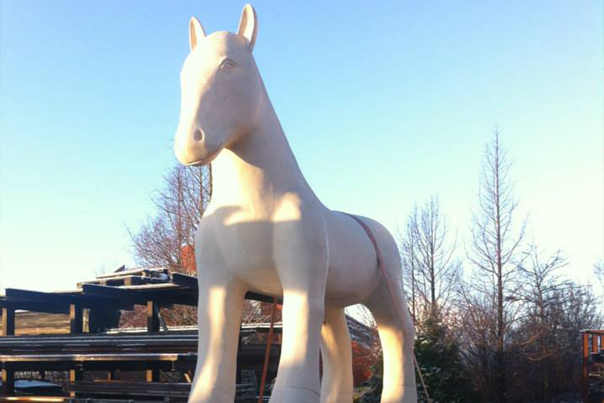 Kunstwerk paardenoRade